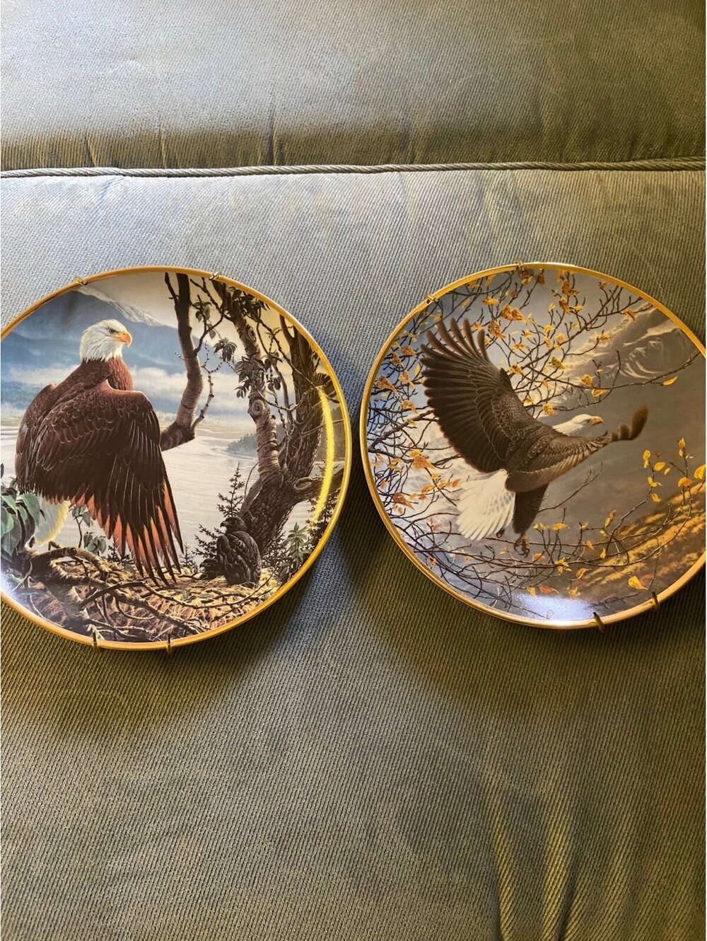 Plates by The Hamilton collection Eagles